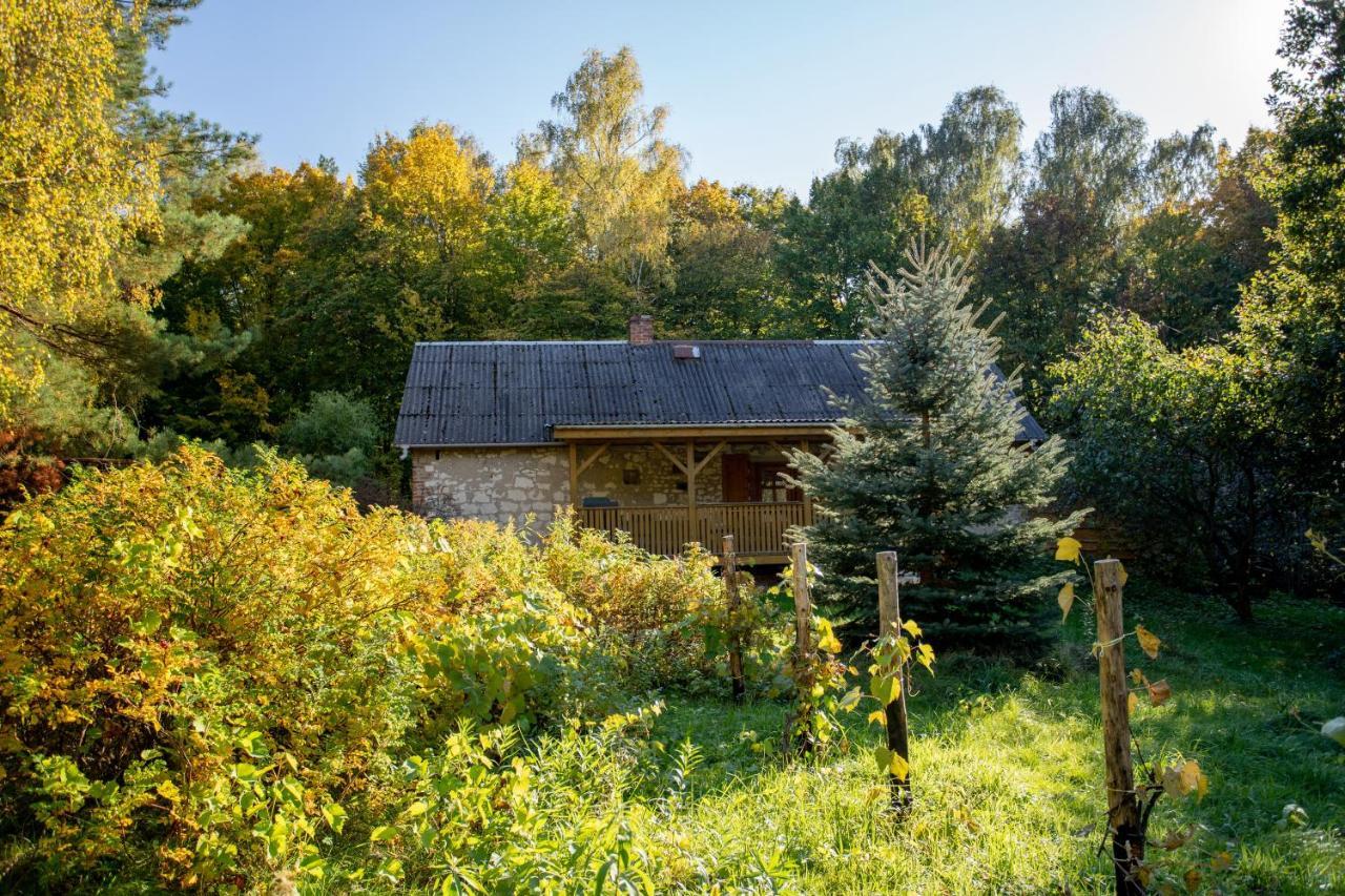 Agroturystyka Siedlisko Wydry - Dom W Srodku Lasu Wierzchoniow Eksteriør bilde